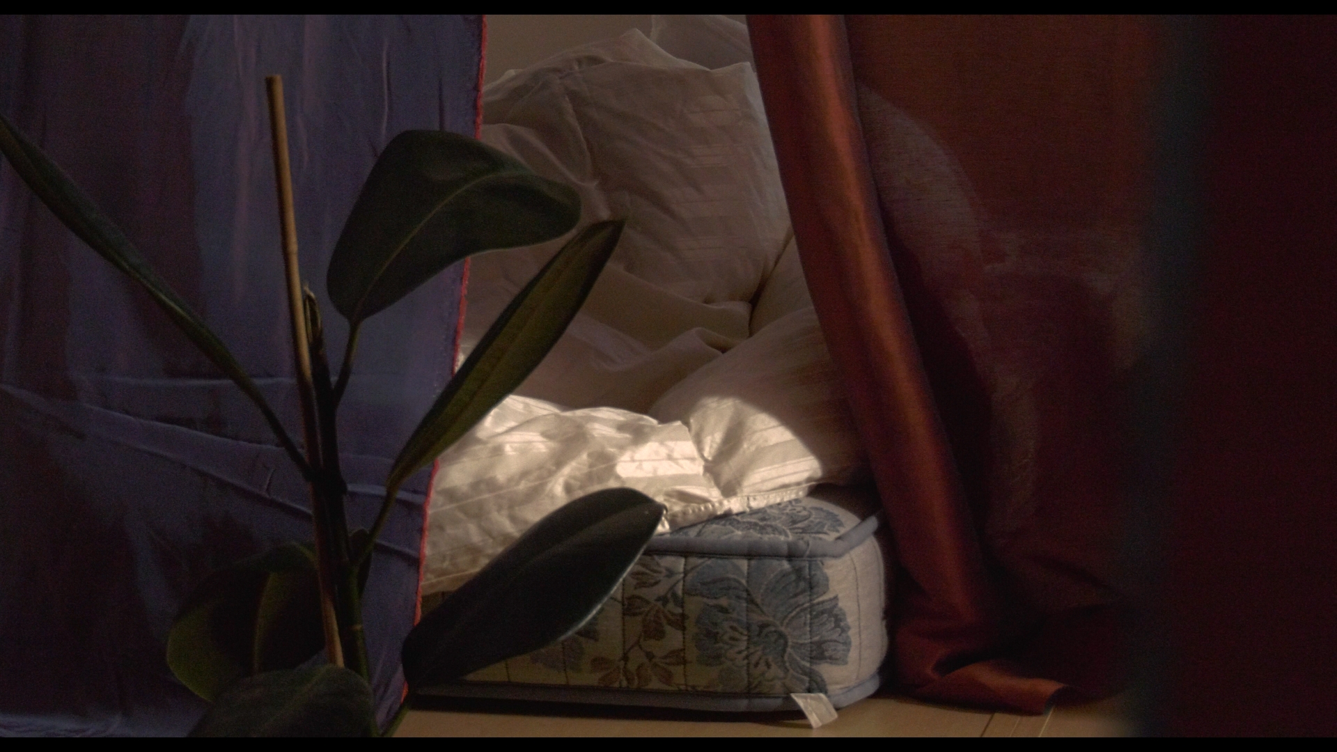 Still 2025-04-14 213426_1.48.1